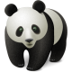 Nasenbär Avatar