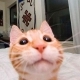 Vera_N Avatar