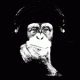 Philipp Grossmann Avatar