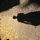 gertrud Avatar