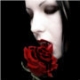 Laura_Z Avatar