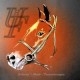 UL Rich Avatar