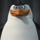 Thomas Baumgartner Avatar