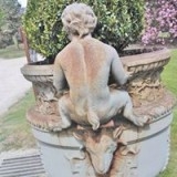 Isabella Testerosa Avatar