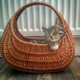 Zeytin Özlem Avatar