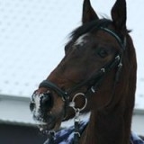Nadine Vaerst Avatar