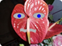 Bacuda Avatar
