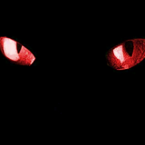 t9rechner Avatar