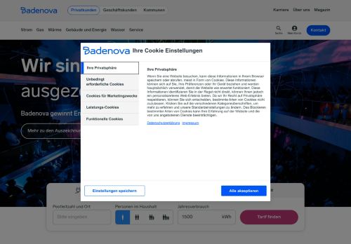 badenova Website Screenshot