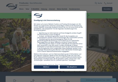 enviaM Website Screenshot