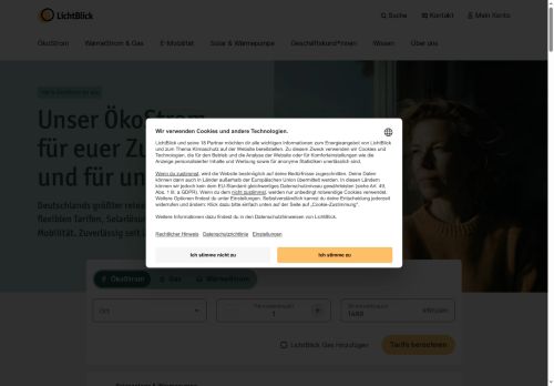 LichtBlick Website Screenshot