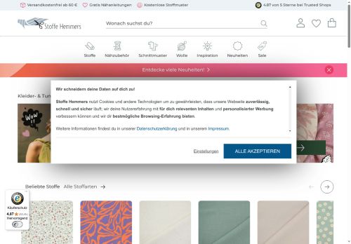 Franziska Sager Website Screenshot